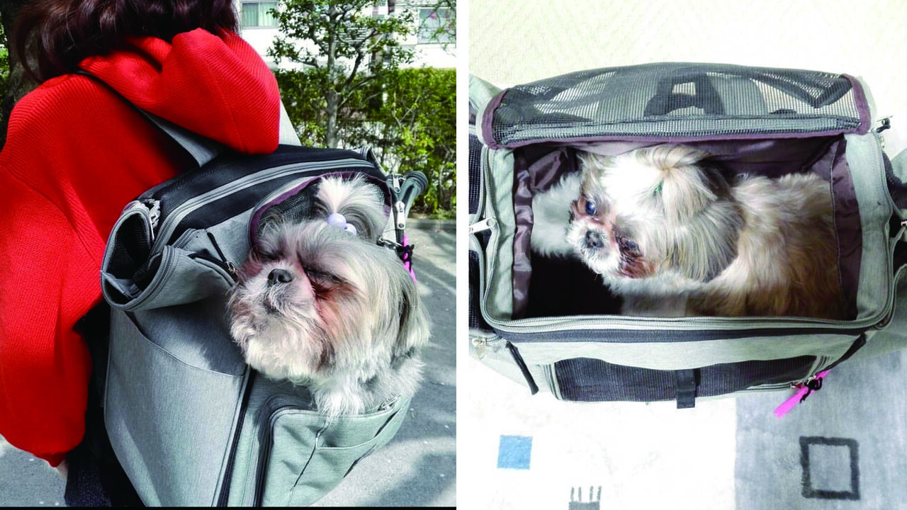 Transformable Pet Backpack that Becomes a Cage,, large image number 4