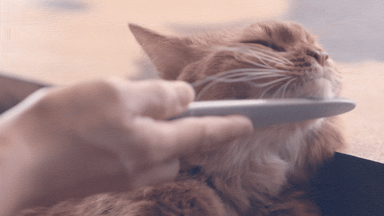 Nekojasuri: Cat Grooming Brush to Make Them Swoon,, large image number 7